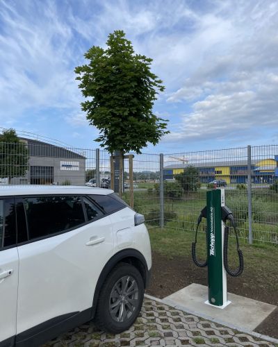 Partino / Ecotap
